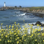 ̼̻�����ʤ����Ȥ򤤤����Ȥ�