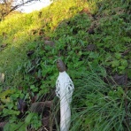 大小迫　つむぎの家