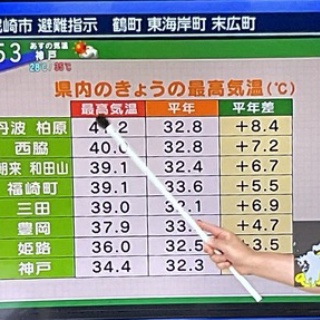 ぼちぼちと２