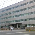 ひき逃げ事故の真相：酒気帯び運転の恐ろしさ