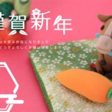 『その福袋、買いに行く根性がないシニア』の画像