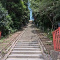 8月10日　鹽竈神社、松島に巡検しました