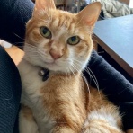 だいじろう日和。