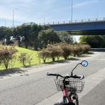 ひろまるの脊髄腫瘍闘病記