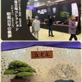 日本盆栽大観展・展示と売店を振り返って