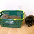 空待ちですか❓