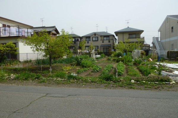 安井建設株式会社 最新物件情報