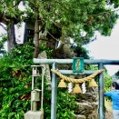 雨晴海岸...の、ついでに...　6.21.sun.2026