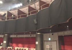 【伊藤理々杏】かわええｗ オオミミギツネを探せｗｗｗｗｗ