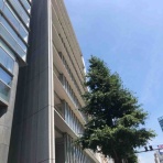 オフィスビルの入居テナント企業について調べるお