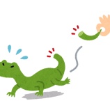 『春乃さくらは5作なの?(実質3.5だけどな…😒)【宙組】【宝塚】』の画像