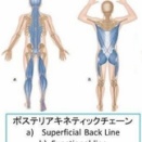 膝のスポーツ傷害