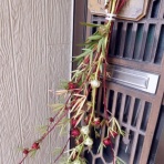私ってガン？