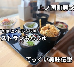 檜山郡上ノ国の道の駅 もんじゅ内にある「レストランもんじゅ」にて 縞エビの踊り食いと 3種の丼が楽しめる てっくい美味伝説をキメてきました！