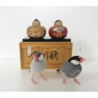 ひな祭りの撮影ですって