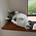 カカオちゃん、ひさしぶり