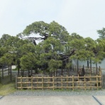 00shizuoka静岡観光おでかけガイド
