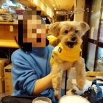 どらどらどら＋ぎん