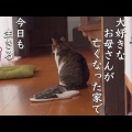 愛猫との思い出が詰まった形見の服。あなたも見つけたことある？
