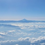 ヨネヨネのパドック