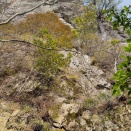 2026.3.28日不行岳南東壁「弓状クラック」＆29日三峰東稜クライミングトレーニング