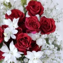 【カラーカード＆ブログ】2/17(火)　理想的なロマンスを　ROSE 【癒しのメッセージ】