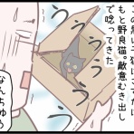 ネコ飼いの飼いネコまんが ねこボイ
