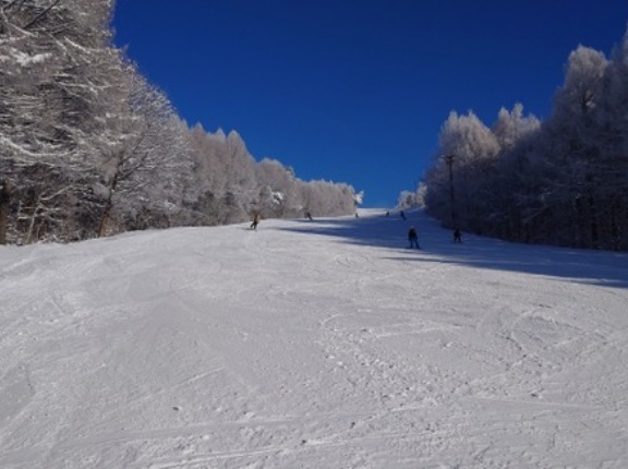 【群馬】片品村 スキーとスノーボード衝突か スキーの７８歳男性死亡　スノーボードの３７歳男性は命に別状無し