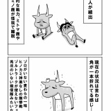 まだ間に合う？うす～くワールドカップの予備知識