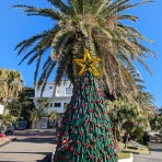 クリスマスはじまりました＠IOP