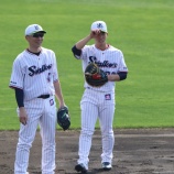 『嶋基宏はまだ野球をやっている』の画像