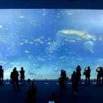 親「幼稚園の遠足で水族館に！→入館料150円なのに遠足代4400円も請求された！！」