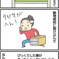 ペットの飼い主なら経験済み？動物病院で驚きの診療結果