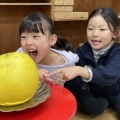 今週の幼稚園　2026.3.9〜3.13