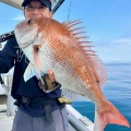8月13日の釣果報告🐟🐟🐟🐟