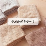 ※実際は小脇に抱えられません