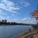 宇治川を渡る２０５系。