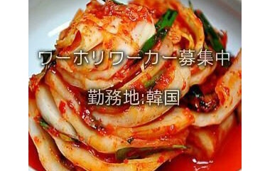 『韓国ワーホリ求人情報』の画像