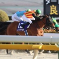 コスタノヴァ（26/02/22・第43回 フェブラリーステークス・東京競馬場）