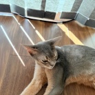 宇宙船の中と外、お昼寝の場所取り合戦