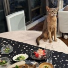 週末のだんたさまごさん　「春告魚」のメバルの煮付けの夜ごはん