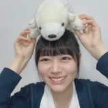 『[ニアジョイ] 大西葵ちゃん配信に日向坂ファン大量押し寄せる』の画像