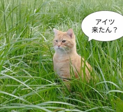 妻と子殺しのグザヴィエは生きている？