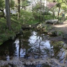 2025.05 岩手 盛岡 盛岡城址公園3