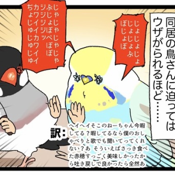 セキセイインコって、陽キャだ