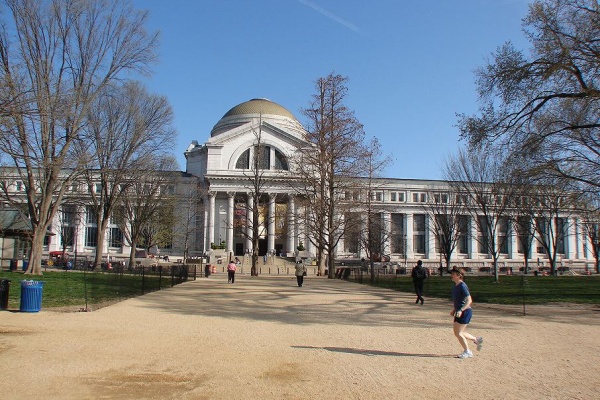 空には夢がある 2 国立自然史博物館 アメリカ