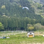 ブルースパークス理事長ブログ