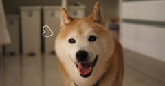 夜ごはんの後…