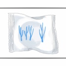 SNOWSのスノーサンド白【ぴぴこのおやつ日記 61個目】