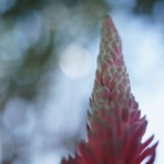 ZEISSレンズとかなんとか